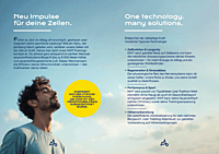 Höhenbalance Flyer